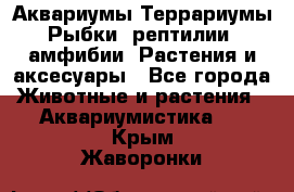 Аквариумы.Террариумы.Рыбки, рептилии, амфибии. Растения и аксесуары - Все города Животные и растения » Аквариумистика   . Крым,Жаворонки